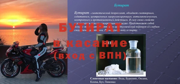 шишки Белокуриха