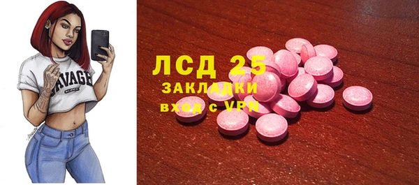 шишки Белокуриха